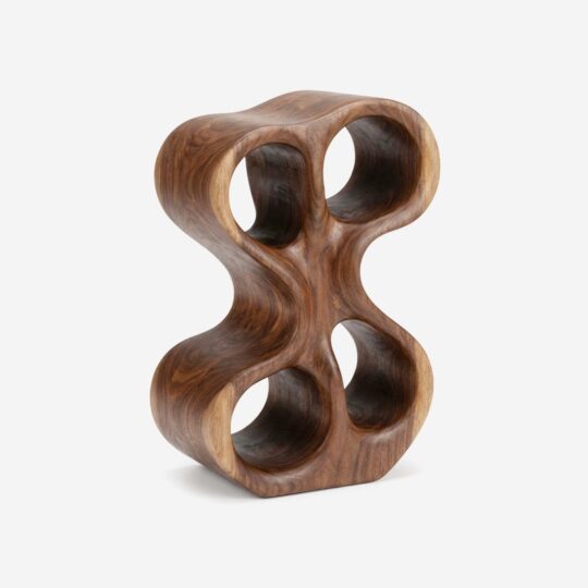 Organic Loop Sculpture